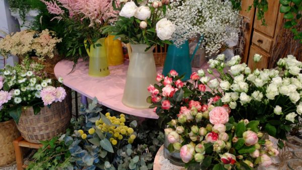 plantes